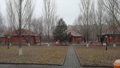 SOS – отбасы типтес жетімдер үйі. Мұндағы балалардың өмірі қандай? 
