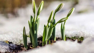 Прогноз погоды на 7 марта: на большей части территории Казахстана будет без осадков