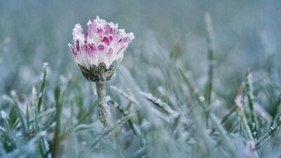 Похолодание и снег ожидаются в некоторых регионах Казахстана 27 мая