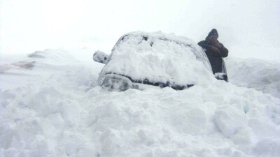 44 автомобиля вызволили из "снежного плена" в Северо-Казахстанской области