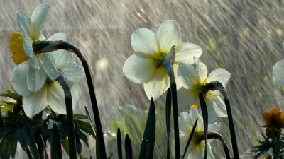 Прогноз погоды на 13 мая: дожди пройдут почти по всему Казахстану