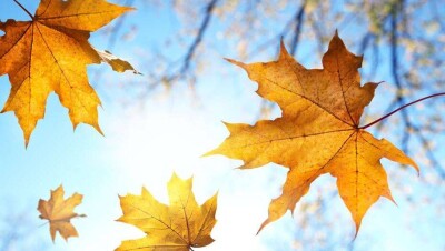 Прогноз погоды на 20 сентября: на большей части Казахстана ожидается усиление ветра