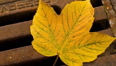 На большей части Казахстана 9 октября ожидается сухая, но ветреная погода