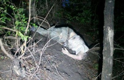 За утро в Алматы произошло три аварии с двумя погибшими