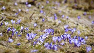 Прогноз погоды на 15 марта: на юге страны дневная температура составит выше 20 градусов