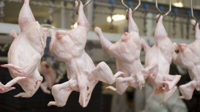 Ограничение импорта мяса птицы Шукеев назвал политической проблемой