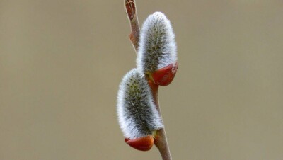 Погода на выходные: малооблачно и без осадков