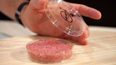 В Японии учёные вырастили искусственное мясо. Предприятия готовы к освоению процесса