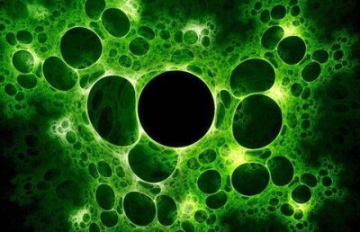 Опасный вирус вновь угрожает человечеству