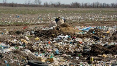 В Аксае с начала года сменились 4 компании по вывозу мусора. Одна проработала 2 дня