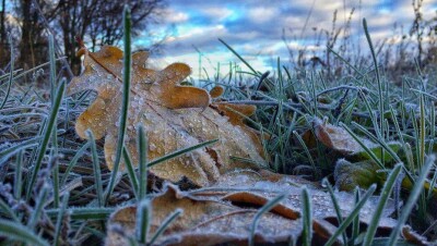 Погода без осадков ожидается 3 октября