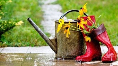 Прогноз погоды на 12 июня: дожди пройдут в восьми областях Казахстана