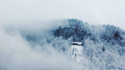 Туман сорвал соревнования на этапе Кубка мира в Алматы