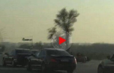 Бесчинства свадебного кортежа возмутили жителей Шымкента