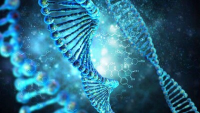 Китайский учёный впервые в истории изменил ДНК человека