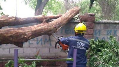 Спасатели ликвидировали последствия сильного дождя в Алматы