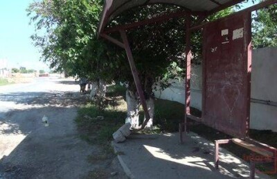 Водитель, сбивший девять человек в Шымкенте, угнал авто отца