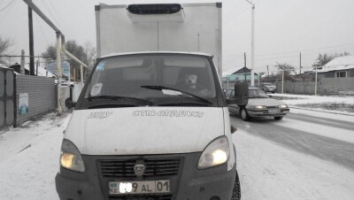 Питбуля за рулём "ГАЗели" заметили жители Костаная