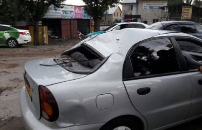 В Алматы дерево упало на машину, есть пострадавшие