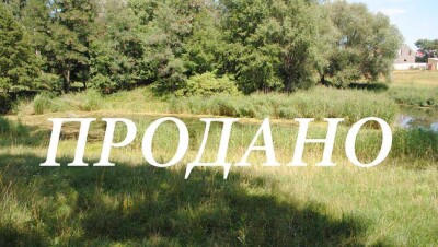 В Акмолинской области чиновника уволили за незаконный аукцион по продаже земли