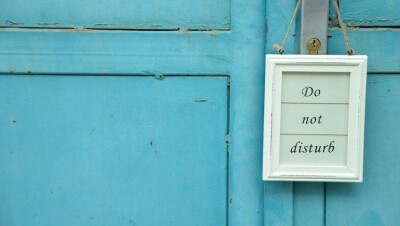 В Японии два медведя впали в спячку в здании поликлиники