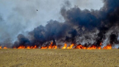 10 тысяч гектаров выгорело в результате пожара после падения частей ракеты под Жезказганом