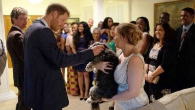 Принц Гарри поприветствовал астанинскую дворняжку в Гайане