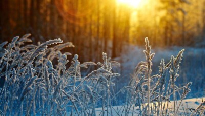 Прогноз погоды на 14 декабря: на большей части территории страны преимущественно без осадков