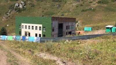 Возле подстанции "Кокжайлау" в Алматы посадили 30 тянь-шаньских елей