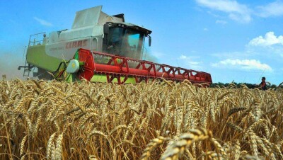 Изымать неиспользуемые земли у аграриев поручил аким Костанайской области 