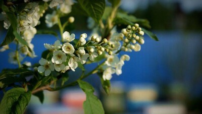 Прогноз погоды на 1 июня: по-летнему жаркой погода будет не везде