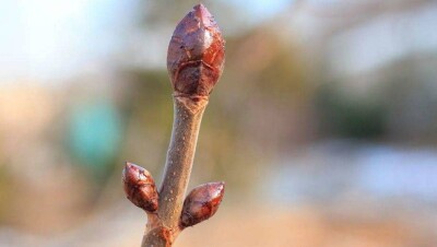 Прогноз погоды на 29 февраля: сухо и тепло будет на большей части территории Казахстана