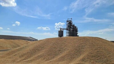Акмолинские хлеборобы собрали богатый урожай