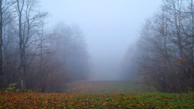 Прогноз погоды на 15 декабря: почти во всех областях Казахстана будет туманно и без осадков