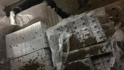 120 миллионов сигарет произвела подпольная фабрика в Казахстане за год