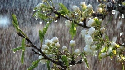 Дождь, гроза и ветер ожидаются почти по всему Казахстану 5 мая