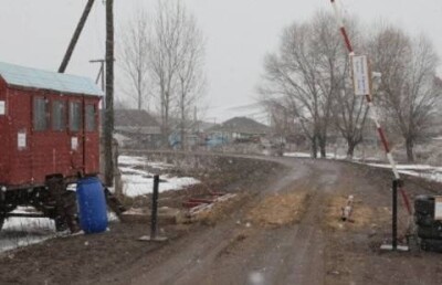 Скотина сыграла в ящур