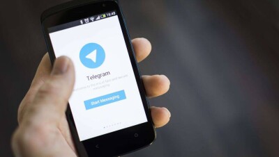В Telegram появился чат-бот для жалоб на нарушения карантина и работу больниц