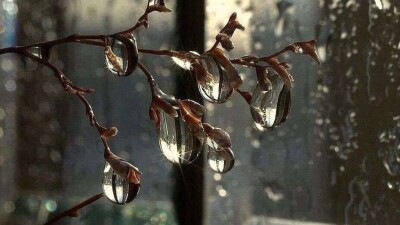 Казгидромет объявил штормовое предупреждение в пяти регионах страны