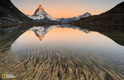 National Geographic показал 10 снимков, претендующих на звание "Фото года"