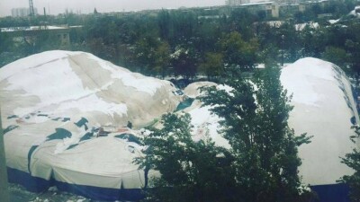 В Шымкенте под тяжестью снега провалилась крыша дельфинария