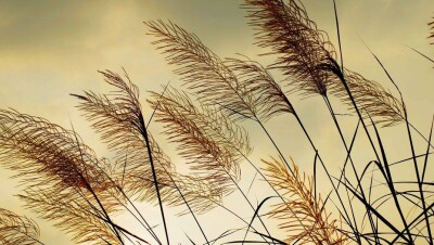 "Казгидромет" объявил штормовое предупреждение в пяти регионах Казахстана 