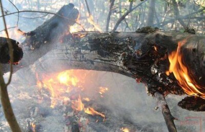 К тушению лесного пожара в Уральске на третий день подключился вертолёт