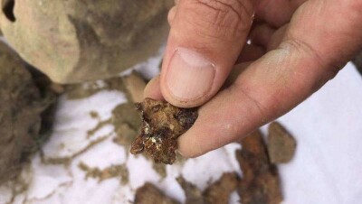 Из-за ценной археологической находки в ВКО приостановили строительство водопровода