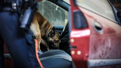 В Нур-Султане сотрудника управления по борьбе с наркобизнесом осудили по делу о подбросе гашиша