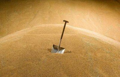 Аким Костанайской области не знает, кому ещё продавать зерно