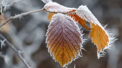 Прогноз погоды на 21 октября: до 13 градусов мороза ожидается на севере Казахстана