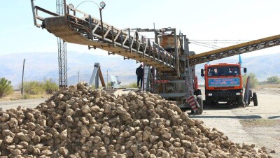 Сахарный завод реанимировали после длительного простоя в Алматинской области
