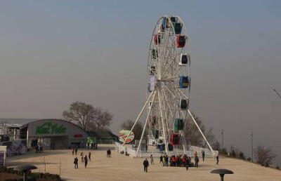 На площадке для колеса обозрения деревья не вырубали - директор "Кок Тобе"