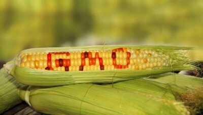 Надпись "ГМО" на упаковках продуктов в странах ЕАЭС станет крупнее и заметнее